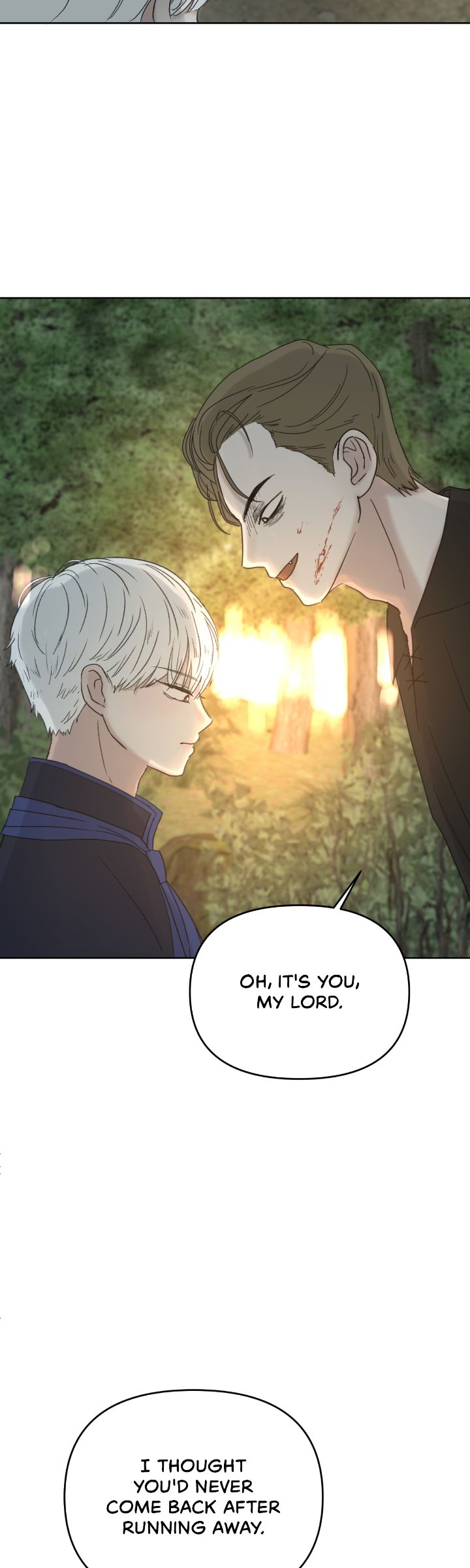 65774477 720 2400 125685